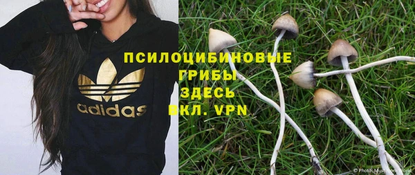 соль курить ск Абаза
